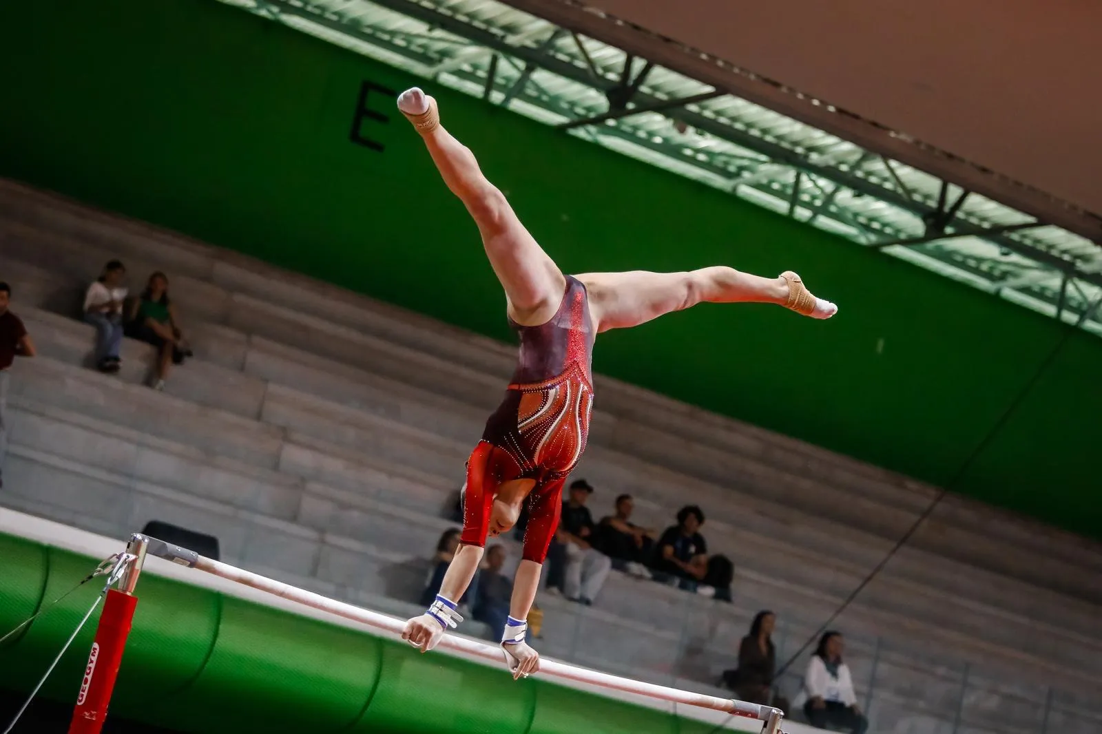 Ginnastica Artistica